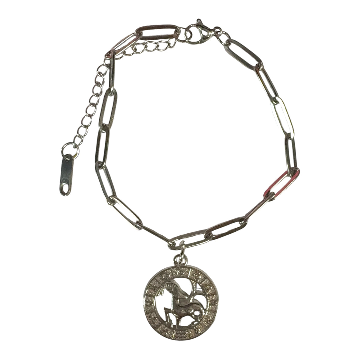 Capricorn Celestial Charm Bracelet ♑
